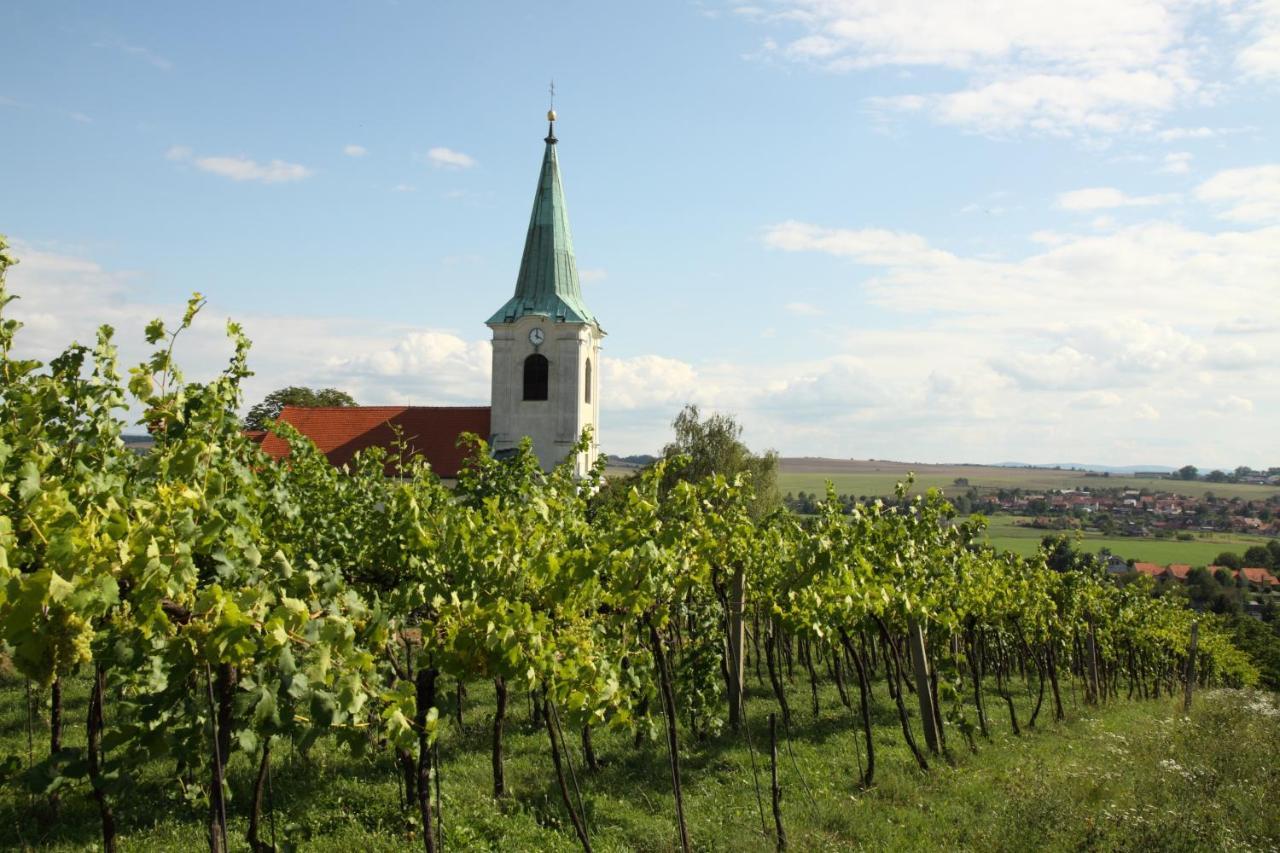 Ubytovani Ve Vinarstvi Medek | Medek House & Winery Uherské Hradiště Εξωτερικό φωτογραφία