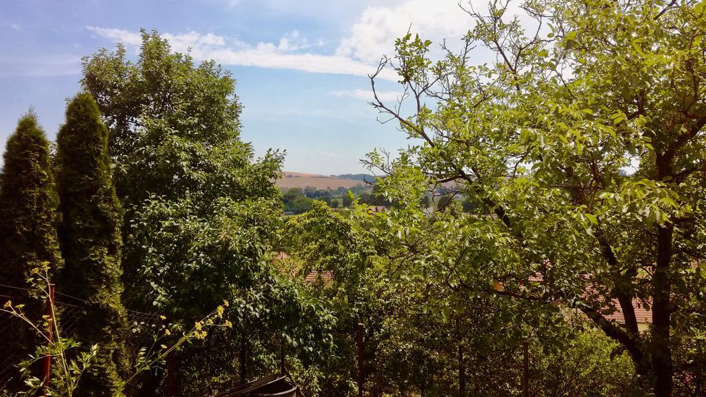 Ubytovani Ve Vinarstvi Medek | Medek House & Winery Uherské Hradiště Εξωτερικό φωτογραφία