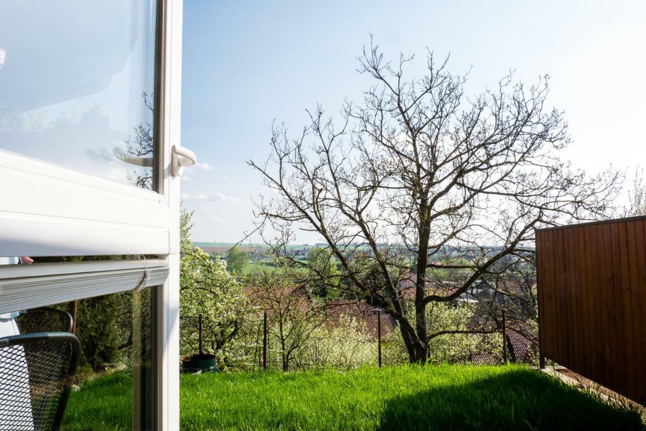 Ubytovani Ve Vinarstvi Medek | Medek House & Winery Uherské Hradiště Εξωτερικό φωτογραφία