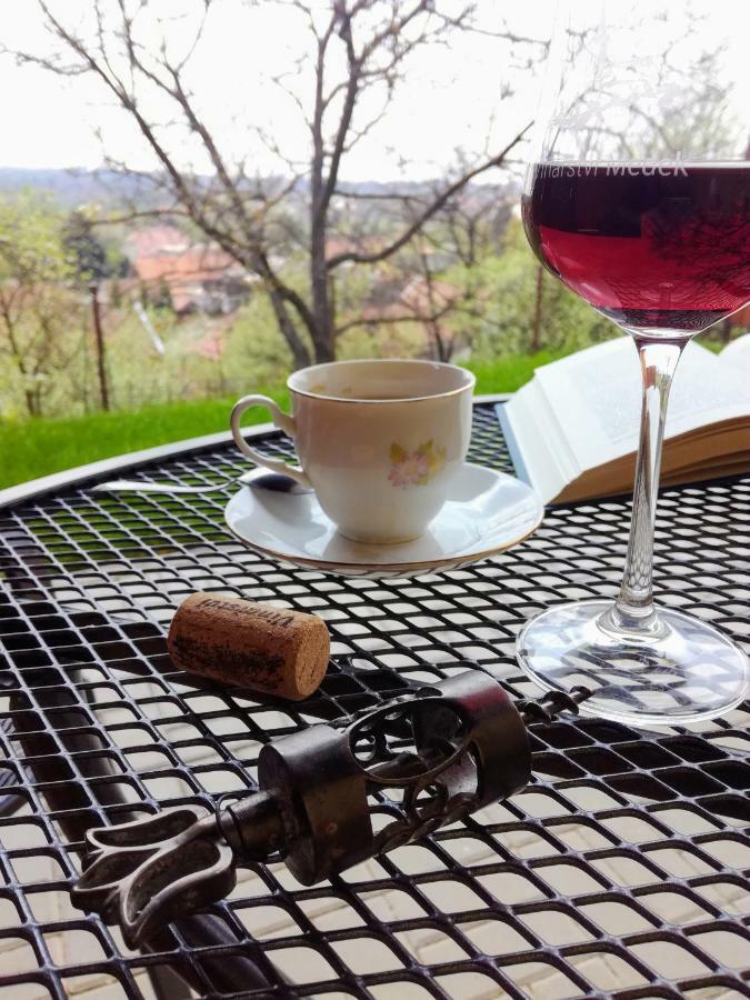 Ubytovani Ve Vinarstvi Medek | Medek House & Winery Uherské Hradiště Εξωτερικό φωτογραφία